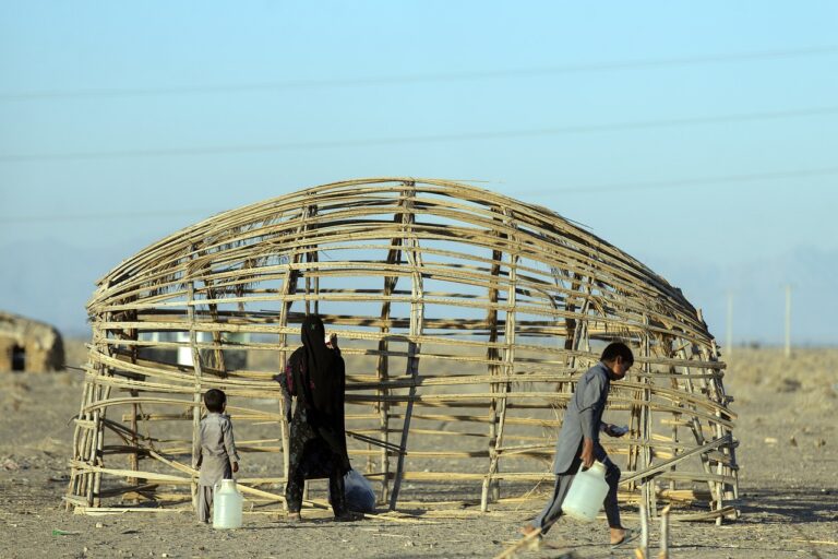 Tea and Meditation: Exploring the Spiritual Connection: Silverexch, Goldenexch. Bet, Betbook247