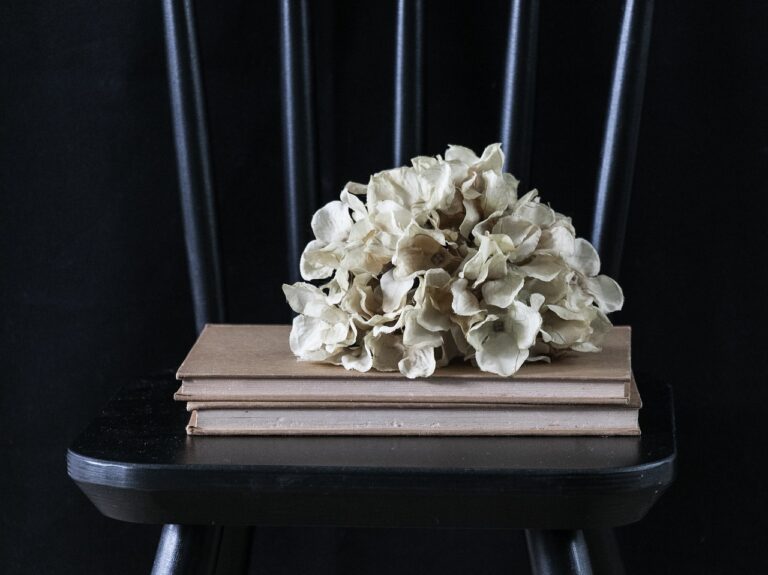 Exploring the Use of Virtual Reality Field Trips in Educational TV: 11xplay com, Gold365, Skyfairs