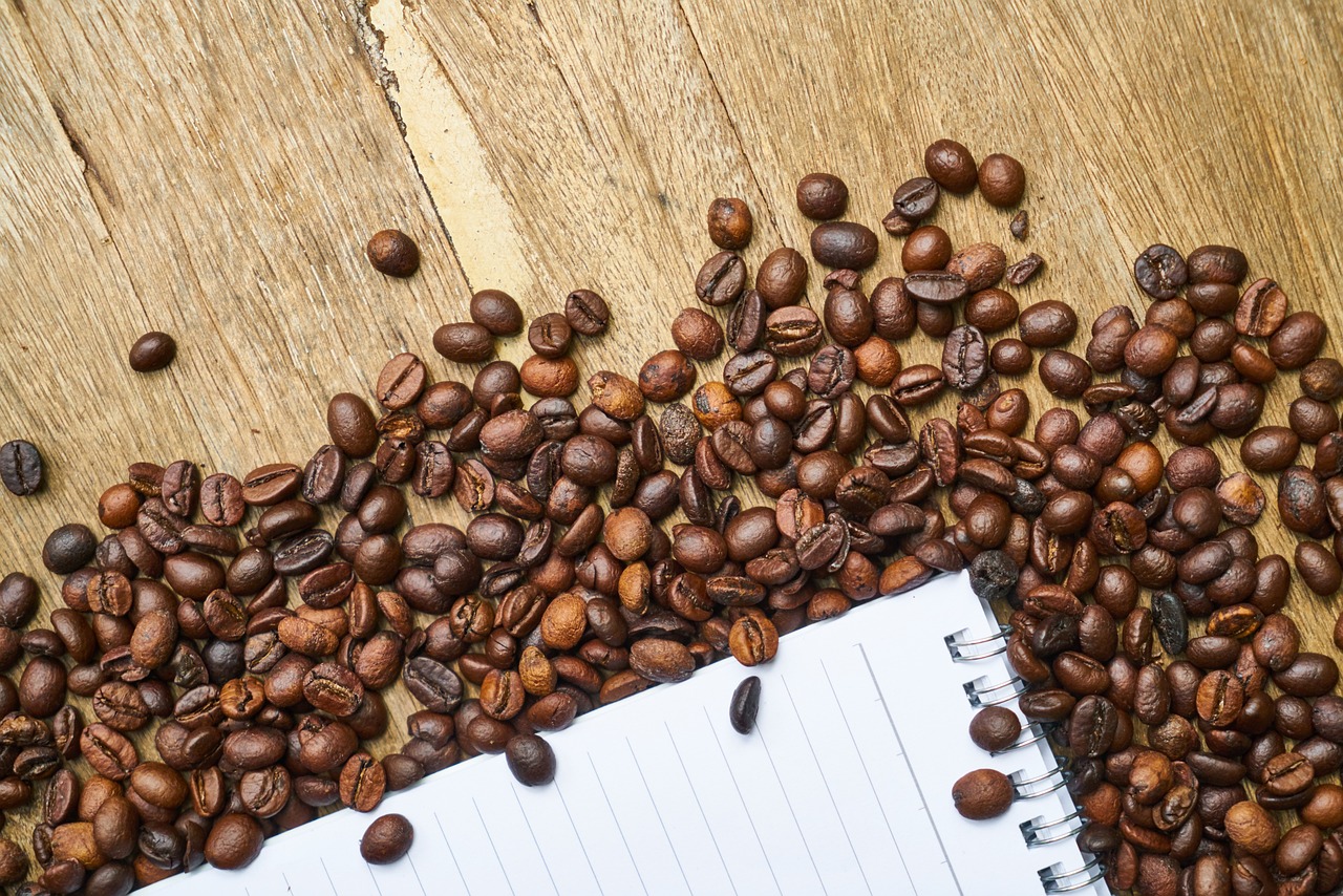 Integrating Media Literacy Education into Educational Radio Shows: 11xplay reddy login registration, Gold365 login, Skyfairs new id