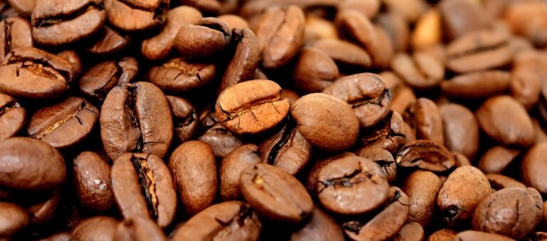 The Role of Florists in Event Planning: 11xplay, Laser 247.com, Skylivecasino login