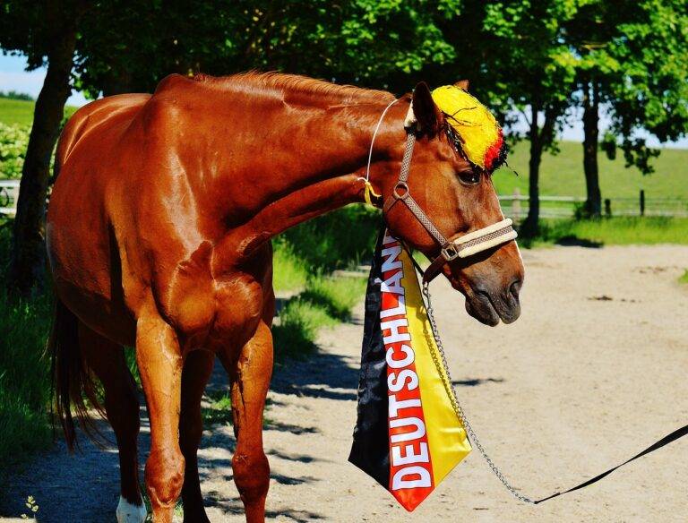 The Role of Literary Agents in Book-to-Stage Adaptations: Bet bhai login, Radheexch, Lotus365