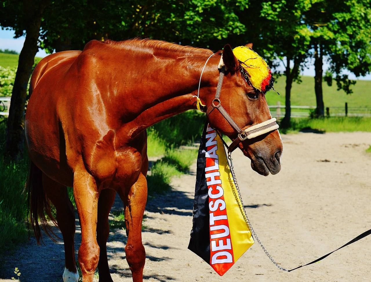 The Role of Literary Agents in Book-to-Stage Adaptations: Bet bhai login, Radheexch, Lotus365