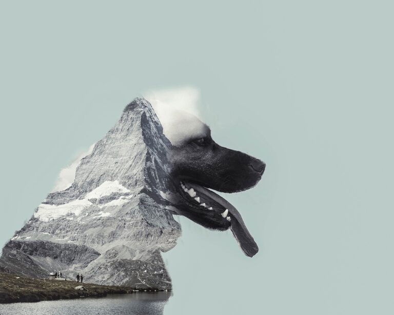 The Rise of Women in IPL Fan Clubs: All pannel.com, Cricket bet99, Lotus365 vip login