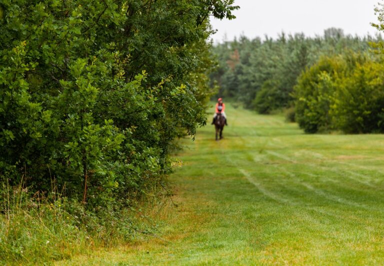 Exploring AI Writing Assistants for Authors: Betbhai9.com whatsapp number, Radhe exchange id, Lotus365 login