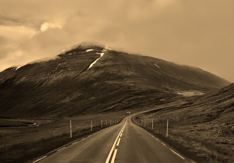 Fleet Outsourcing vs. In-House Management: Pros and Cons: Cricbet99 register, Sky1exchanges id, 11xplay reddy anna