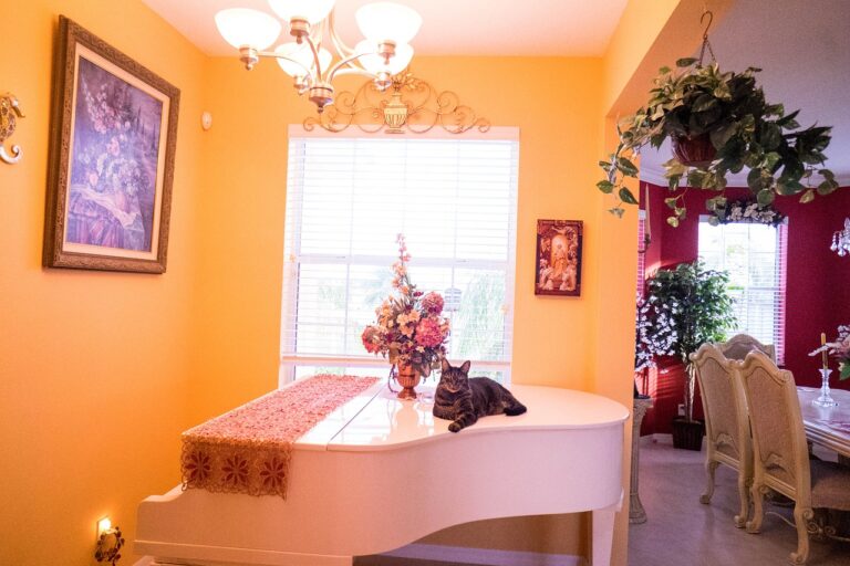 Retrofitting Fireplaces for Efficiency: 11xplay reddy login password, Diamondexch9 id, Skyexchange id