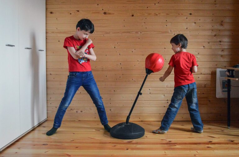 Maximizing Heat Efficiency in Fireplaces: Sky 247, Diamondexch9.com register, Tigerexch