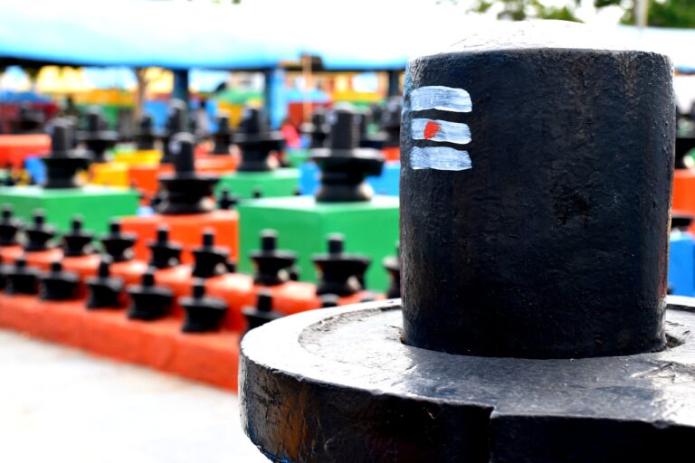 Redistricting: Implications for Electoral Power and Representation