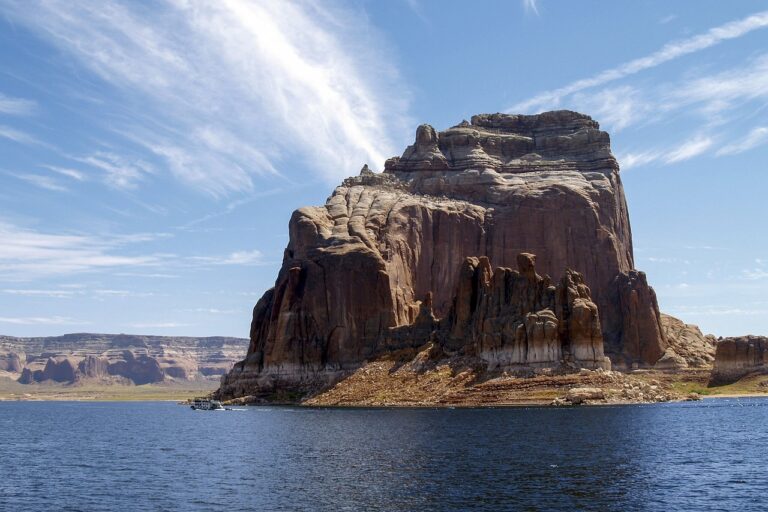 Cricket’s Contribution to Environmental Conservation and Sustainability Practices