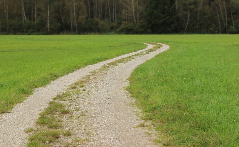 Analyzing the Benefits of Fleet Vehicle Pooling Programs: Cricbet99.com sign up, Sky1exchanges login, Cricket bet99