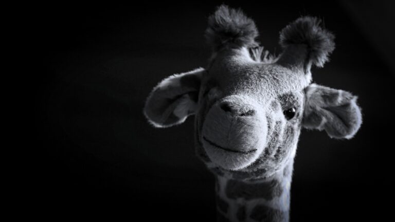 The Impact of Sustainable Practices on Cricket Venue Revenue Streams: Golden exchange, Cricbet99, King567