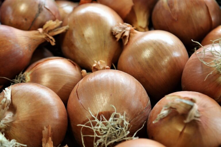 Innovations in Cricket Rehabilitation Techniques: Lotusbook365 login, Play99exch com, All panel login