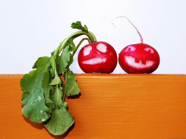 The Role of Cognitive Behavioral Therapy in Long-Term Care Settings: Goldbet.com login, Tigerexch247, Betbook247 id