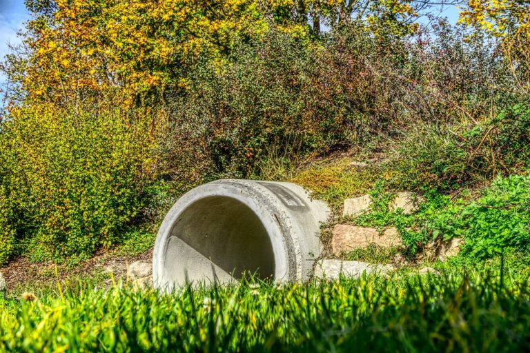 How to Use Live Streaming for IPL Fan Club Events: Sky247.net login, 11 x play game, Playexch 99 login