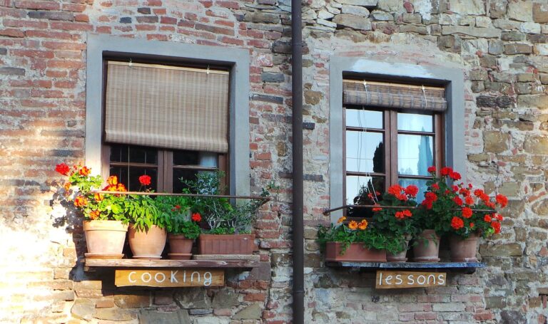 Exploring Outdoor Fireplace Trends: Allexchange bet, 99 exchange login, Allpanel com