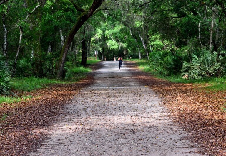 Digital Wellness: Balancing Screen Time for Mental Health